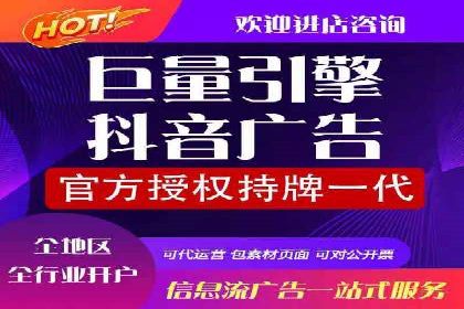 搜索引擎营销（SEM）成功案例详解