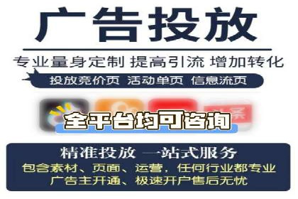 SEM运营策略案例分析